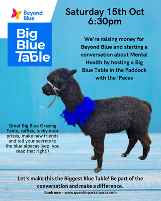 Big Blue Table with the Alpacas